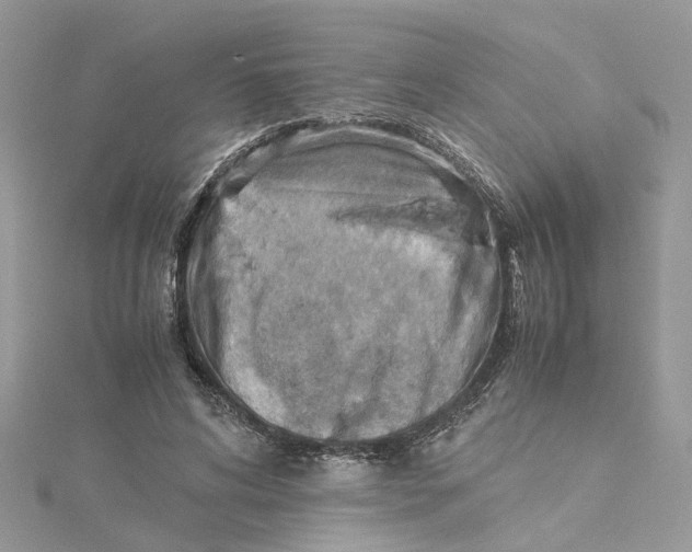 X0000115190592200911181449