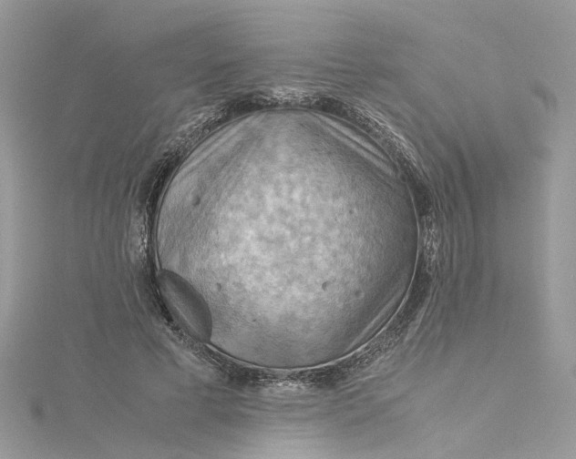 X0000115190593200911181449