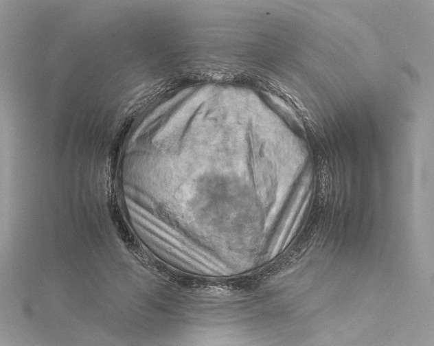 X0000115190594200911181449