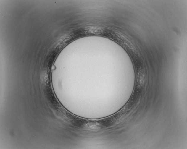 X0000115190595200911181449