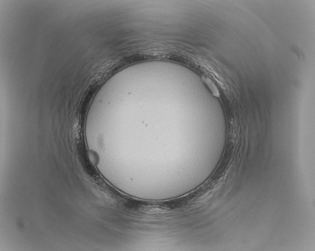 X0000115190597200911181449