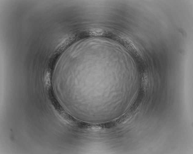 X0000115190598200911181449