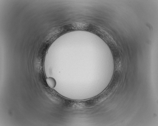 X0000115190599200911181449