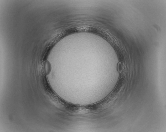 X0000115190601200911181449