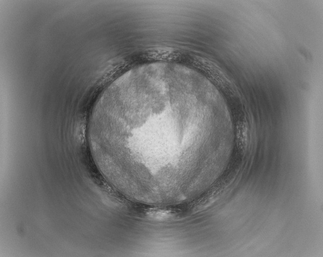 X0000115190602200911181449