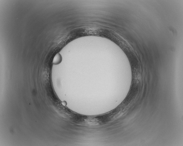 X0000115190603200911181449