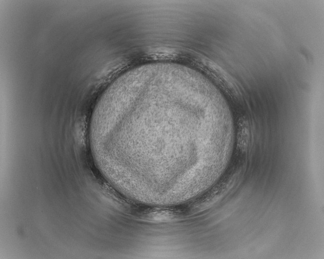 X0000115190604200911181449