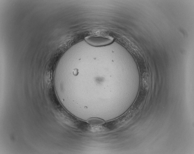 X0000115190605200911181449