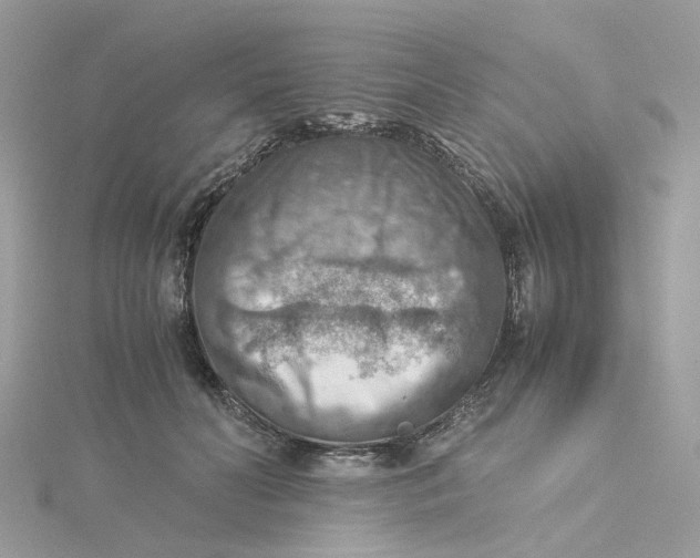 X0000115190606200911181449