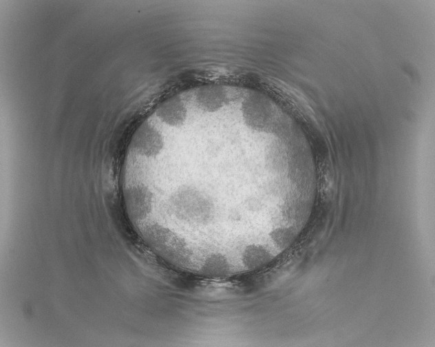 X0000115190607200911181449