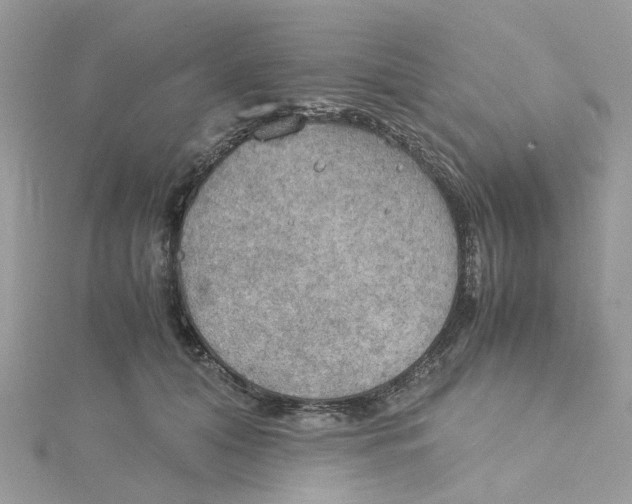 X0000115190608200911181449