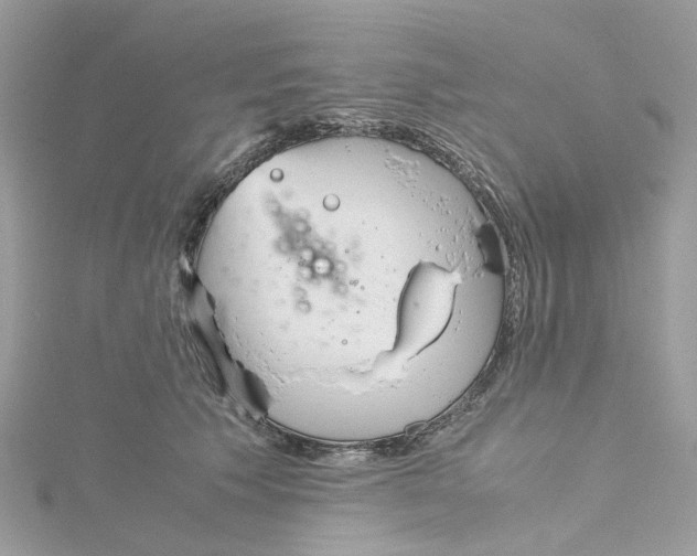 X0000115190609200911181449