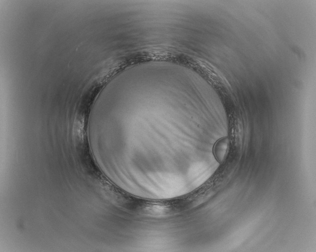 X0000115190610200911181449