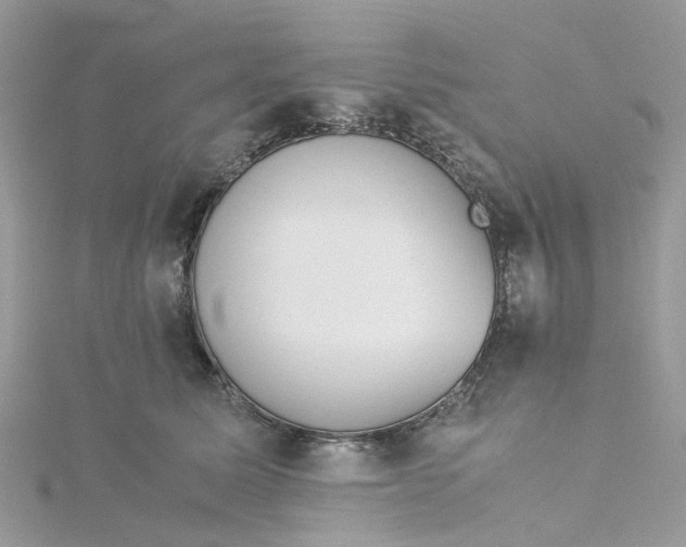 X0000115190611200911181449