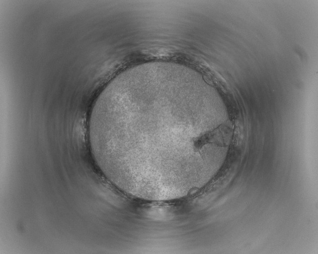 X0000115190612200911181449