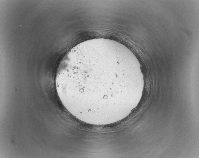 X0000115190613200911181449