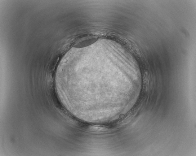 X0000115190614200911181449