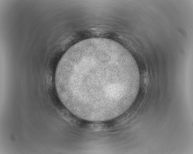 X0000115190615200911181449