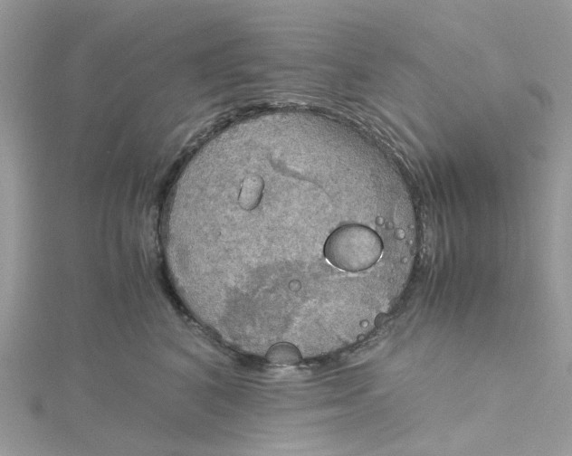 X0000115190616200911181449