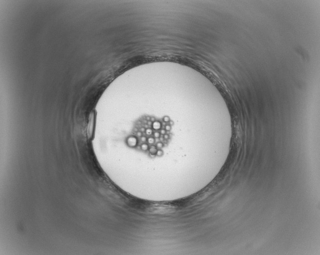 X0000115190617200911181449