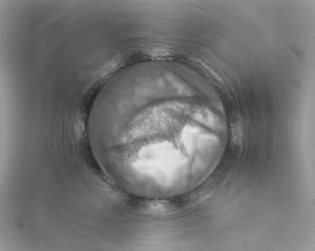 X0000115190618200911181449