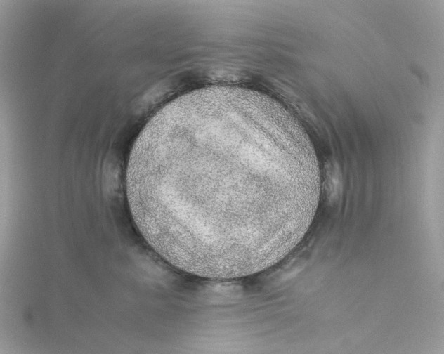 X0000115190619200911181449