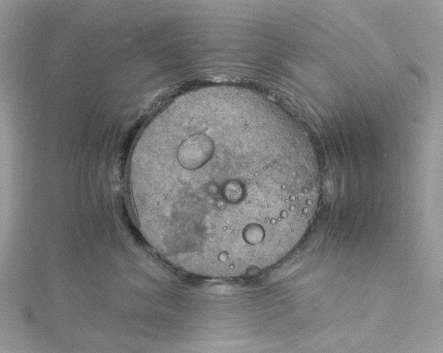 X0000115190620200911181449