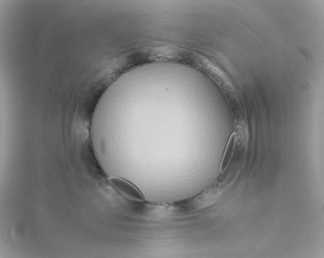 X0000115190621200911181449