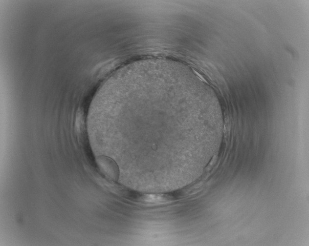 X0000115190623200911181449