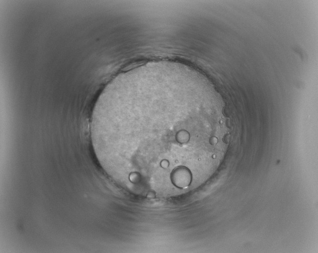 X0000115190624200911181449