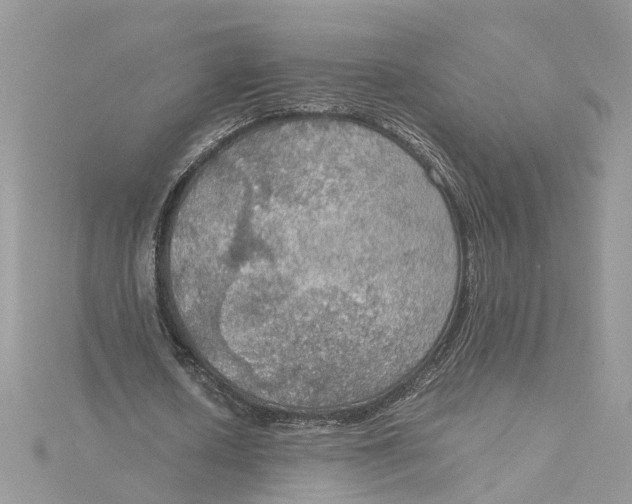 X0000115190626200911181448