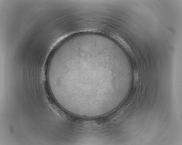 X0000115190628200911181448