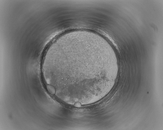 X0000115190629200911181448