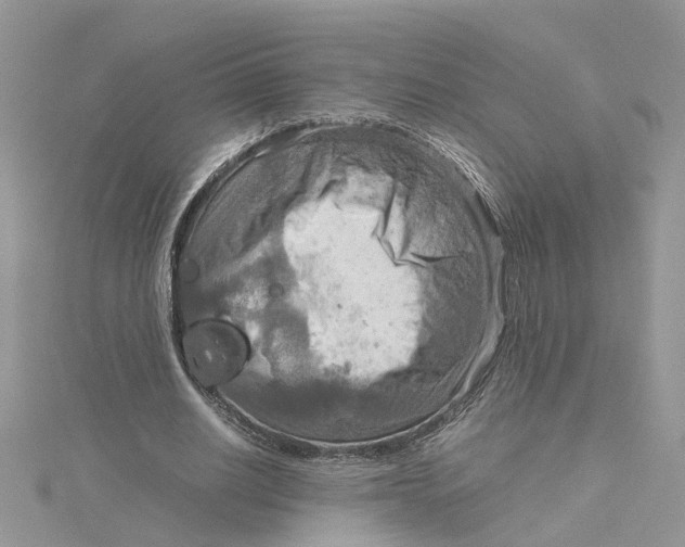 X0000115190630200911181448