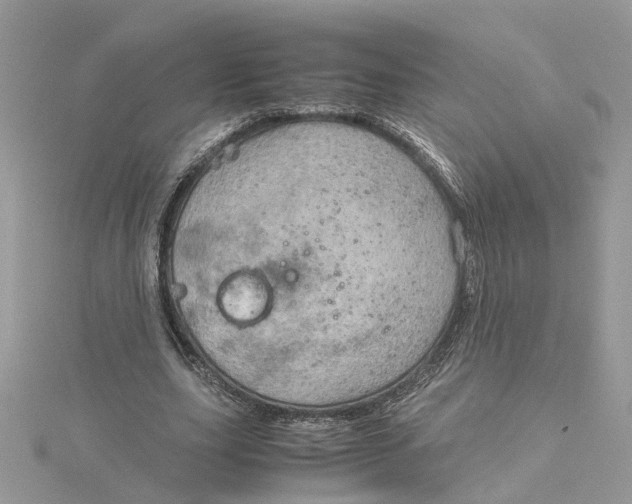 X0000115190631200911181448