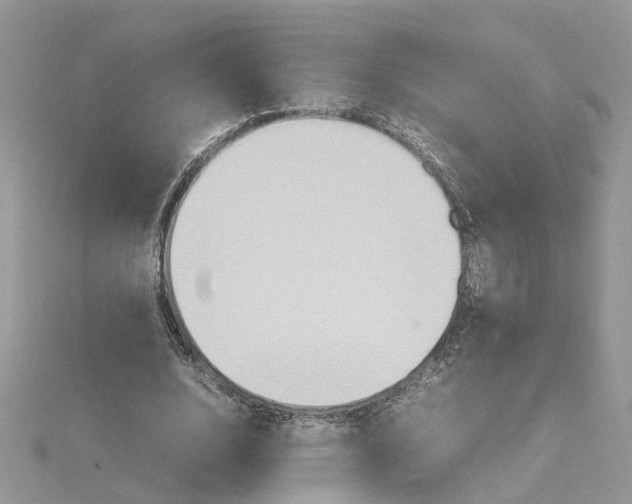 X0000115190632200911181448