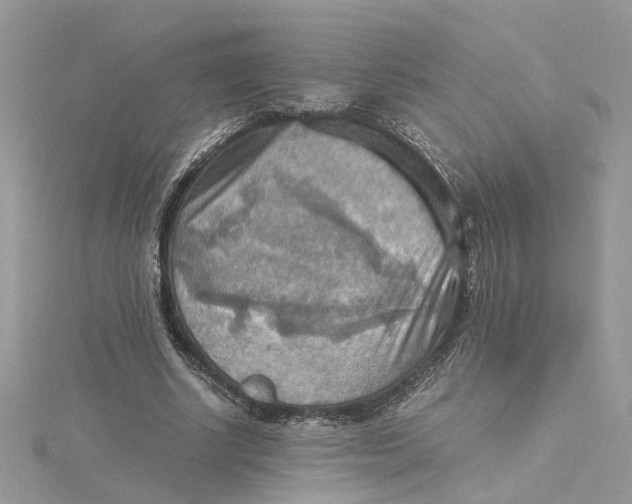 X0000115190634200911181449