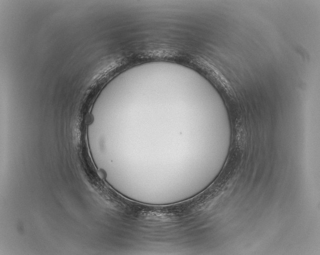 X0000115190635200911181449