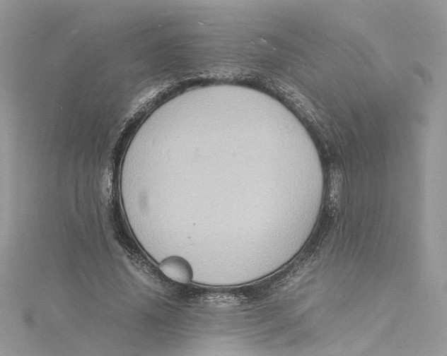 X0000115190636200911181449