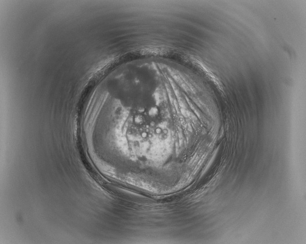 X0000115190637200911181449