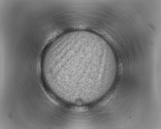 X0000115190638200911181449