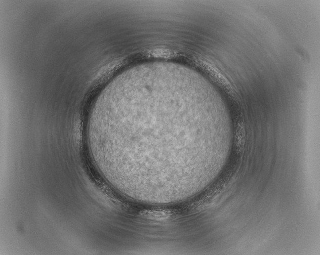 X0000115190639200911181449