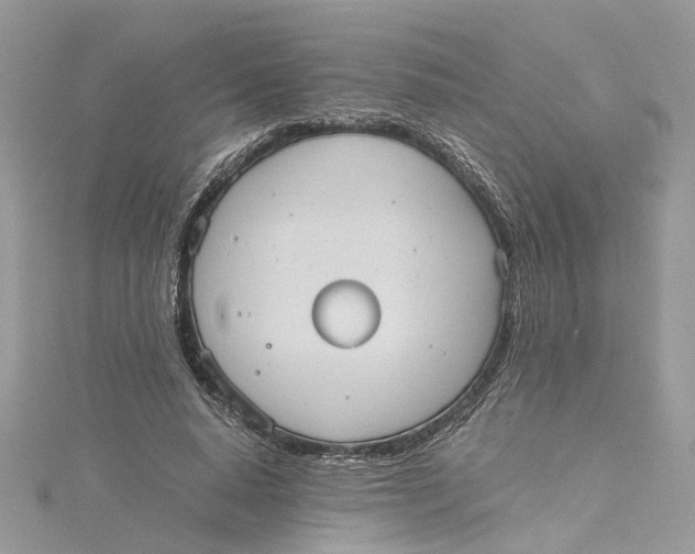 X0000115190640200911181449