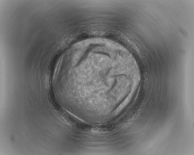 X0000115190641200911181449