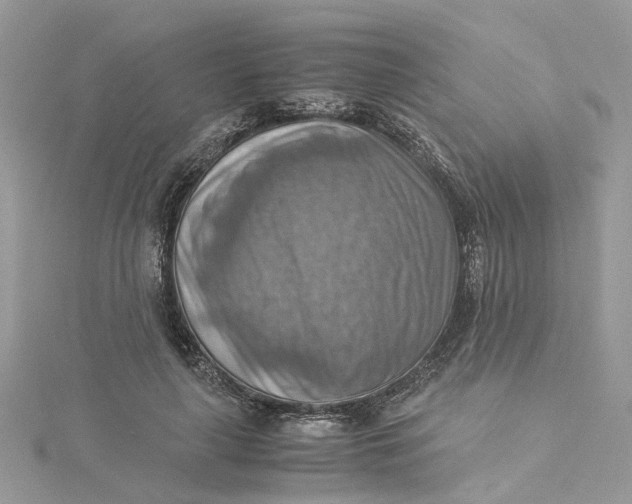 X0000115190643200911181449