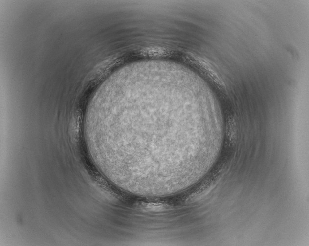 X0000115190645200911181449