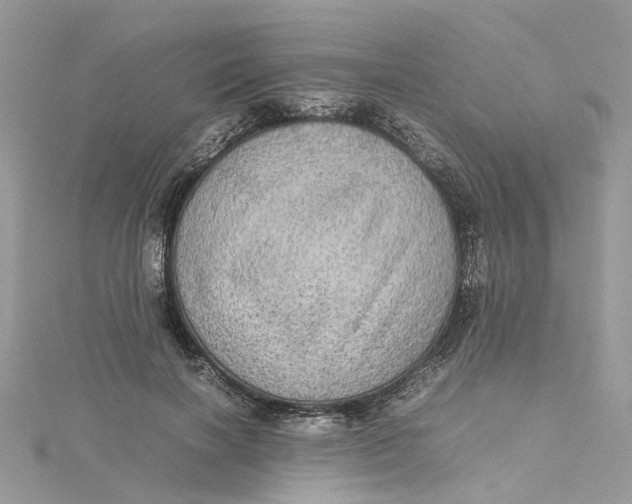 X0000115190646200911181449