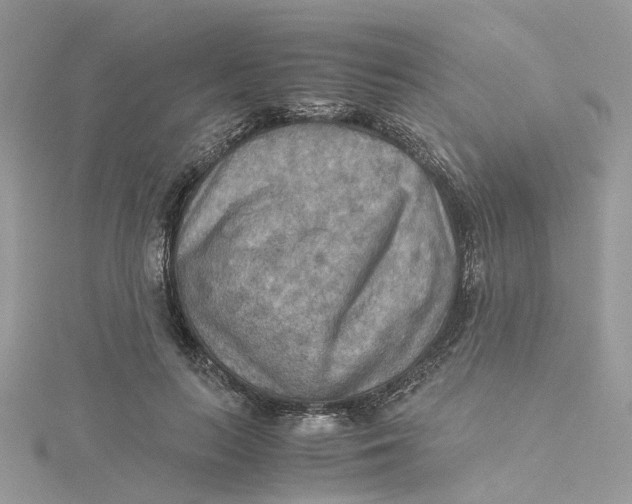 X0000115190647200911181449