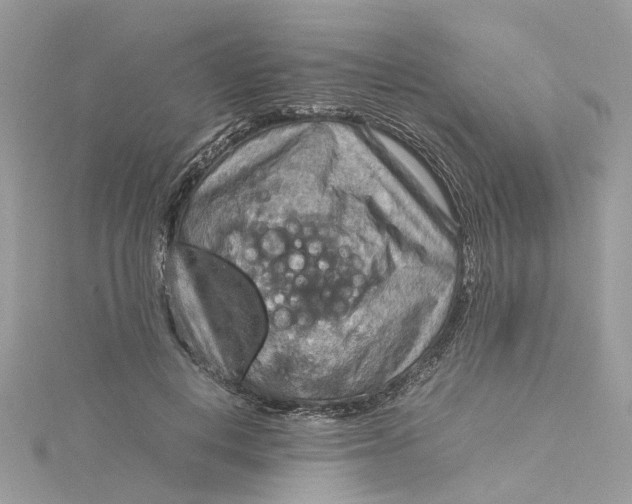 X0000115190648200911181449