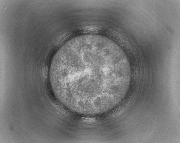 X0000115190649200911181449